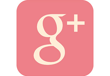 Google Plus: Das soziale Netzwerk von Google