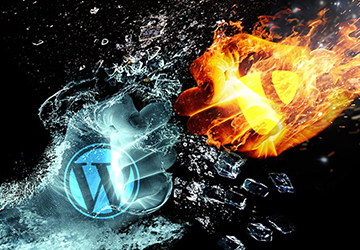 TYPO3 vs. WordPress