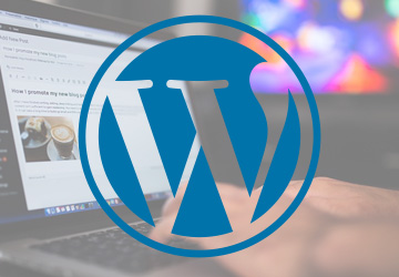 WordPress statische Seite und Titelkonflikt mit Platinum-SEO